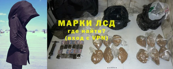 индика Бородино