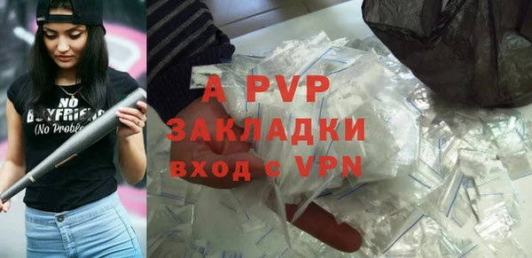 индика Бородино