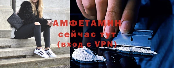 индика Бородино